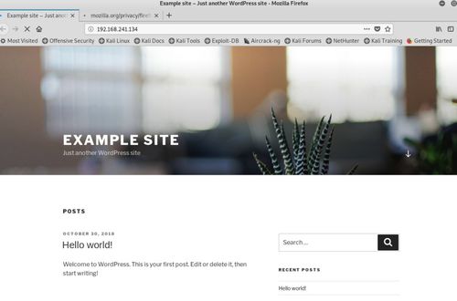 網(wǎng)絡(luò)滲透測(cè)試實(shí)驗(yàn)4