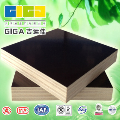 供應東北沈陽建筑模板金亨建筑模板廠 沈陽建筑模板廠家直銷13502087050圖片_高清圖_細節圖